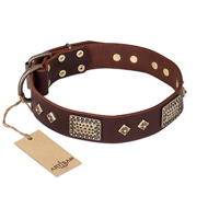 Noble Designer Dog Collar "Loving Owner" FDT Artisan