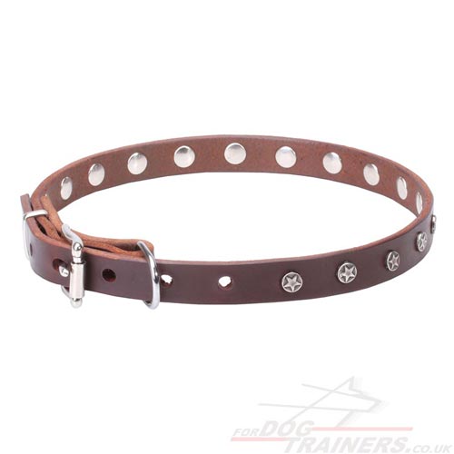 Pretty Dog Collars for Puppies