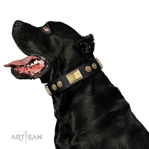 Buy Cane Corso Mastiff Collars UK