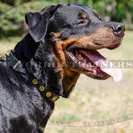 Soft Leather Dog Collars with Medals for Rottweiler Style