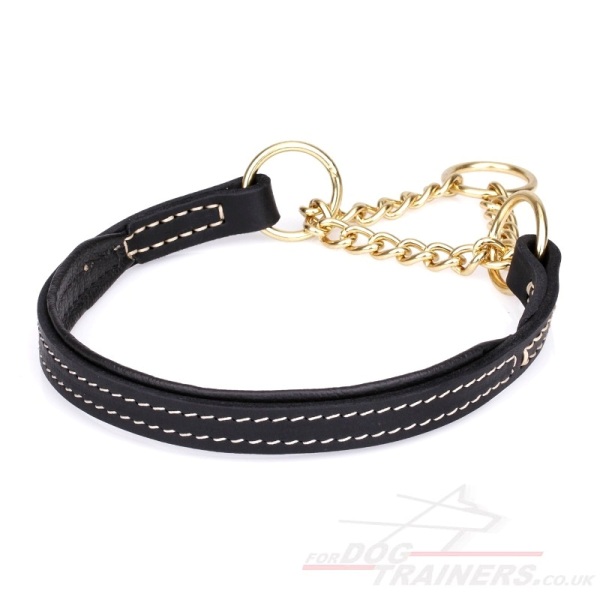 Strong Dog Collar for Training