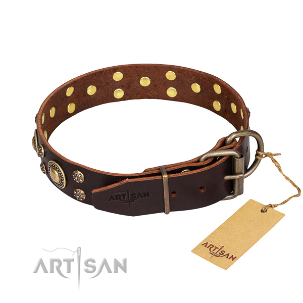 Buy Brown Leather Dog Collar with Brass Buckle UK