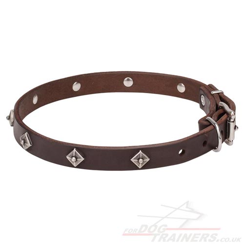 Studded Leather Dog Collar