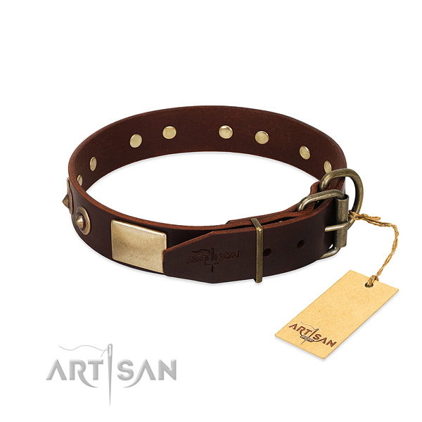 Thick Brown Leather Dog Collar with Brass