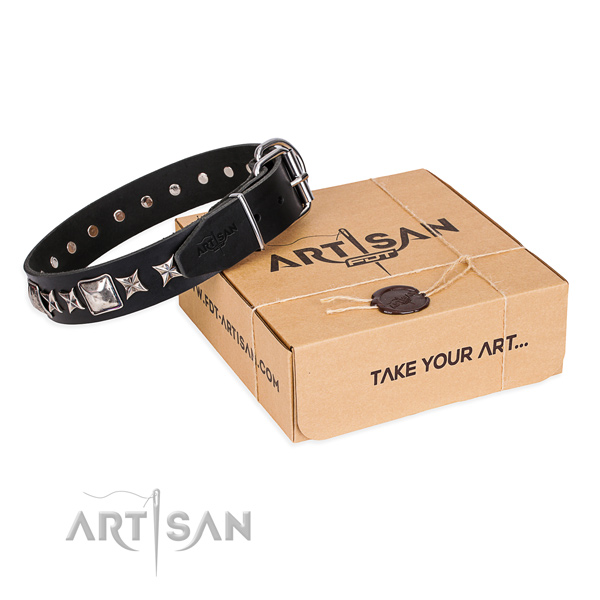 Luxury Dog Collar Gift Box