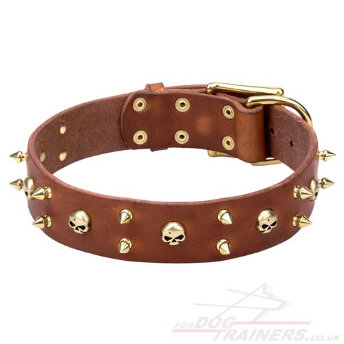 Wide Dog Collar UK