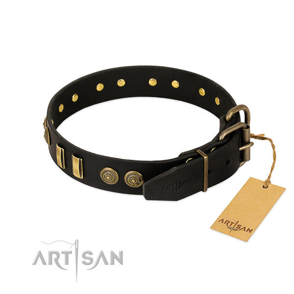 Strong Dog Collar with Buckle