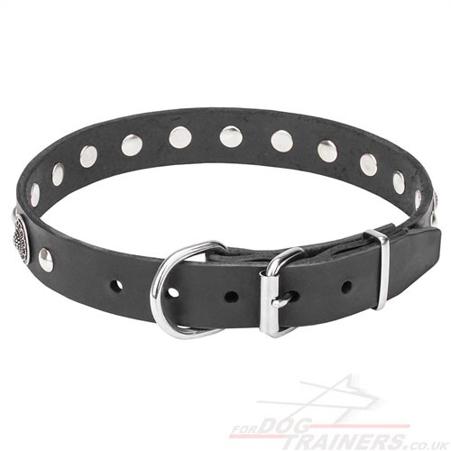 Designer Dog Collar Studded