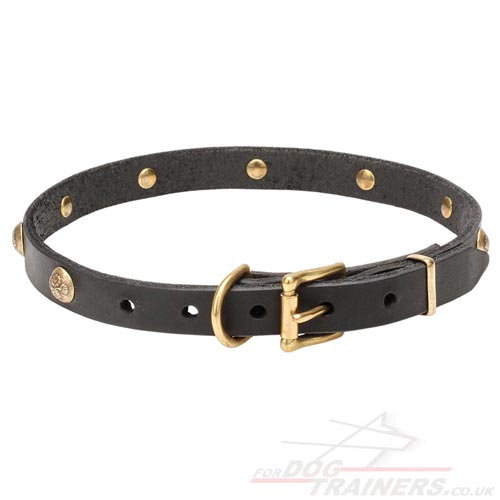 Nice Dog Collar with Buckle