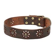 New Decorated Dog Collar for Your Pretty Doggy