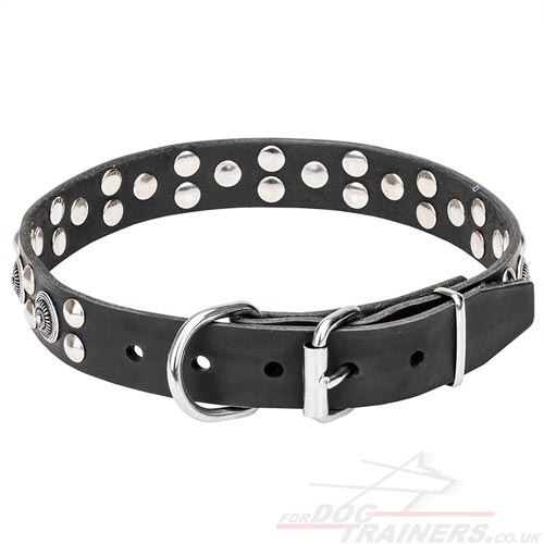 Nobby Dog Collar with Metal Buckle
