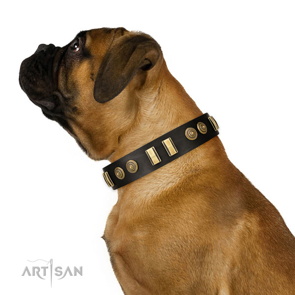 Elegant Dog Collar for Bullmastiff