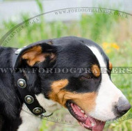 Swiss Mountain Dog Collars UK | Nylon Dog Collar Vintage Style