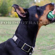 Doberman Collar for Dogs Style | Nylon Dog Collar with Buckle