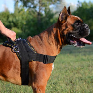 Nylon Dog Harness for Boxer | Boxer Dog Harness with
Handle