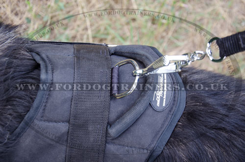 buy all weather dog harness for Caucasian Shepherd