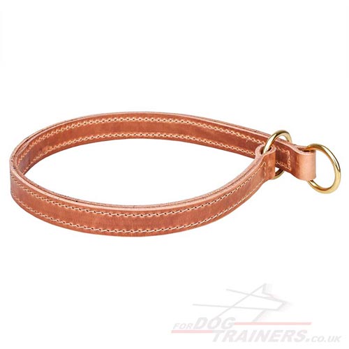 buy leather choke dog collar