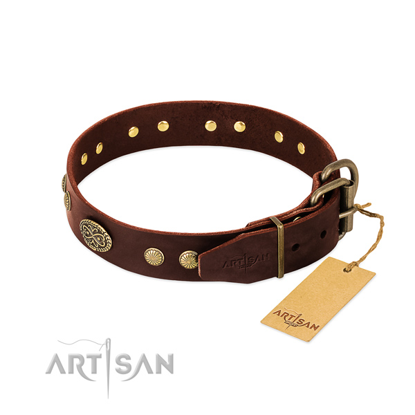 Brown Leather Dog Collar with Brass Buckle