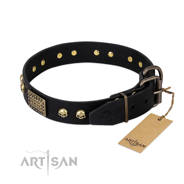 Handsome Dog Collar for Large Breeds