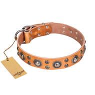 Handmade Dog Collar "Extra Sparkle" FDT Artisan Handmade Dog Collar "Extra Sparkle" FDT Artisan