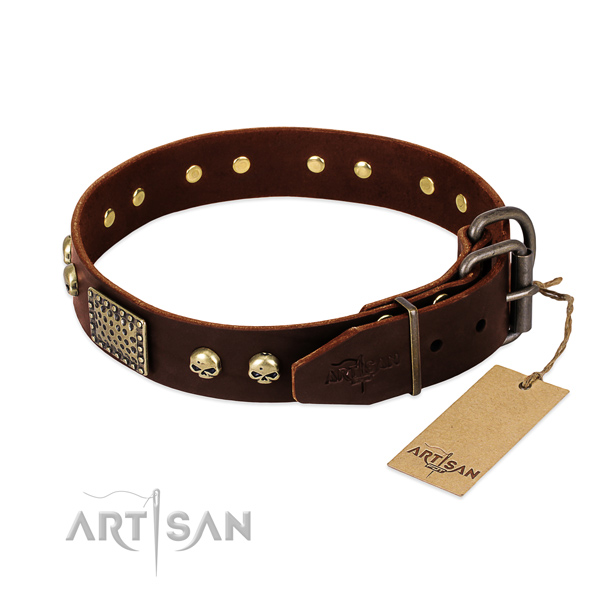 Brown Leather Dog Collar with Brass Buckle