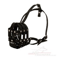 light leather dog muzzle