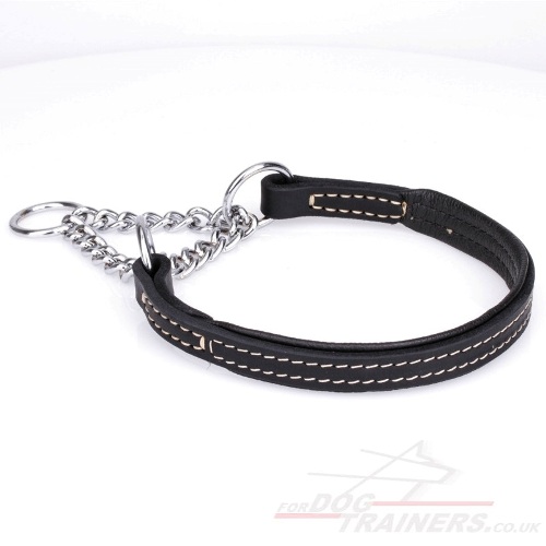 Padded Dog Collar for Training