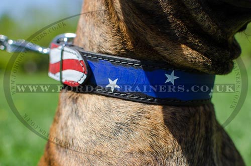 Handmade Dog Collars