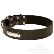 dog collar with ID