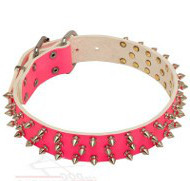 Pink Leather Dog Collar for Large Dogs Style NEW LIMITED EDITION Pink Leather Dog Collar for Large Dogs Style NEW LIMITED EDITION