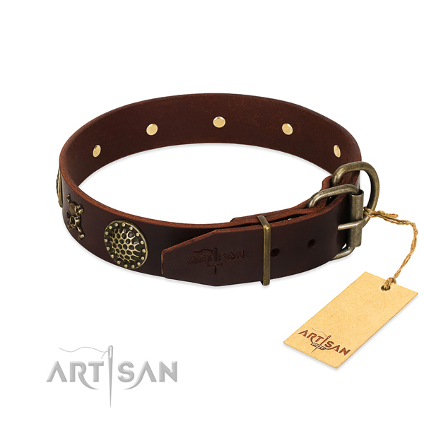 Pirate Leather Dog Collar with Buckle