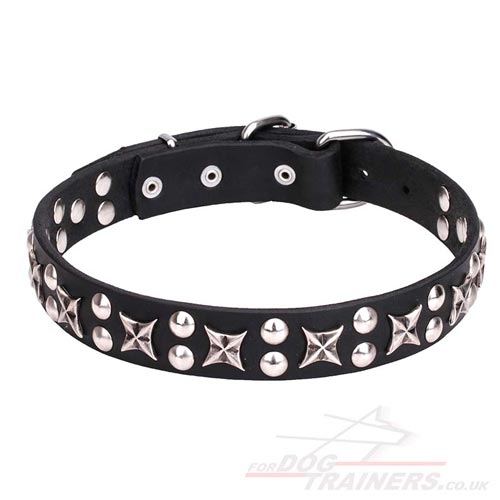 buy elegant
dog collar