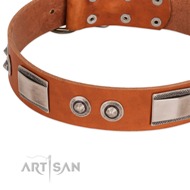 New Premium Dog Collar Design of Tan Leather FDT Artisan New Premium Dog Collar Design of Tan Leather FDT Artisan