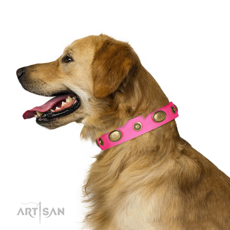 Glamorous Dog Collars Uk Glamorous Dog Collars Uk