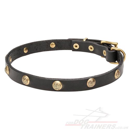 Girly Dog Collar