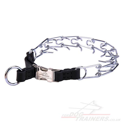 dog pinch collar