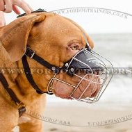 Wire Dog Muzzle for Dogue De Bordeaux UK Bestseller