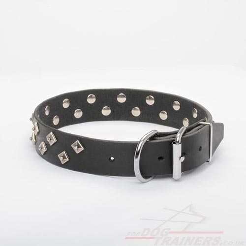 Fashion Dog Collar with Buckle