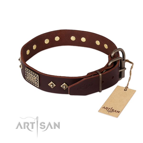 Brown Leather Dog Collar with Brass Buckle