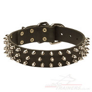 Quality Dog Collar UK with spikes