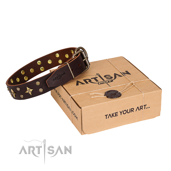 Designer Dog Collars UK