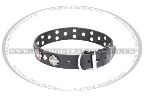 studded dog collar buckle UK
