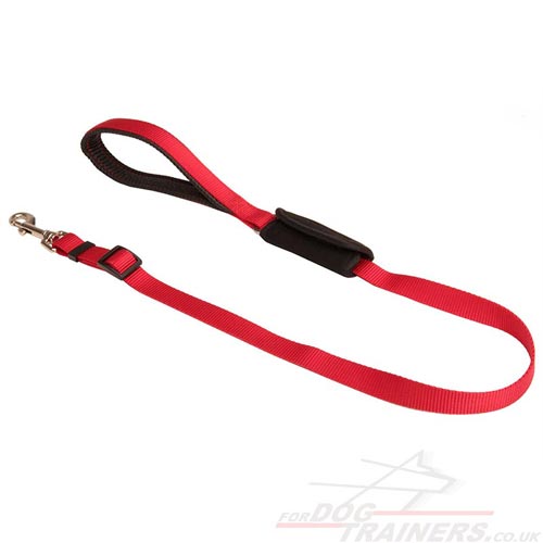 Nylon Dog Lead for Car