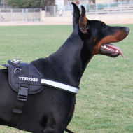 Light-Reflecting Dog Harness for Doberman with Sign Patches