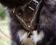 Exclusive Leather Dog Training Harness for Caucasian Shepherd