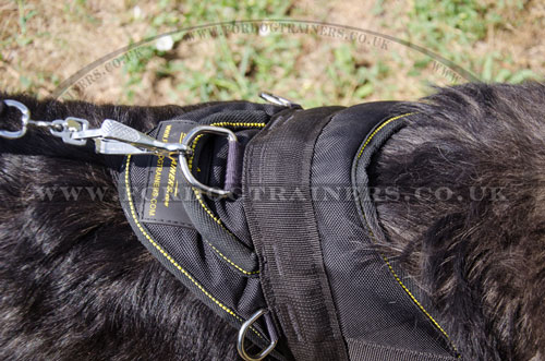 Caucasian Shepherd dog towing harness buy online