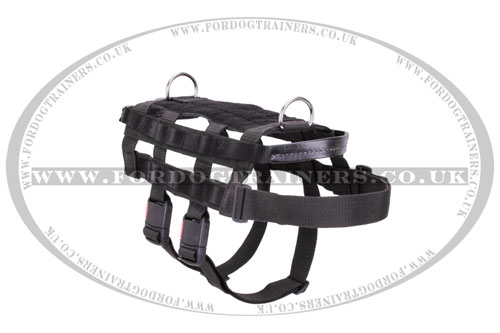 buy working dog harness online