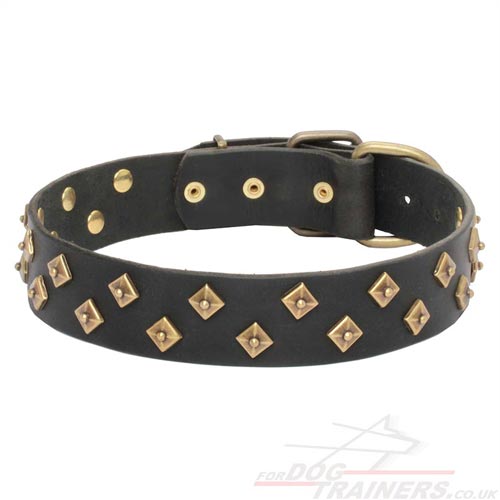 Studded Dog Collar for Big Dogs UK