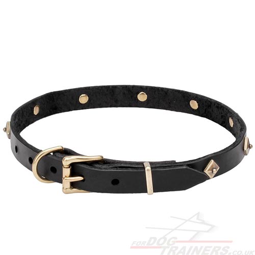 Leather Dog Collar with Buckle