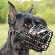 Schnauzer Muzzle Wire Basket